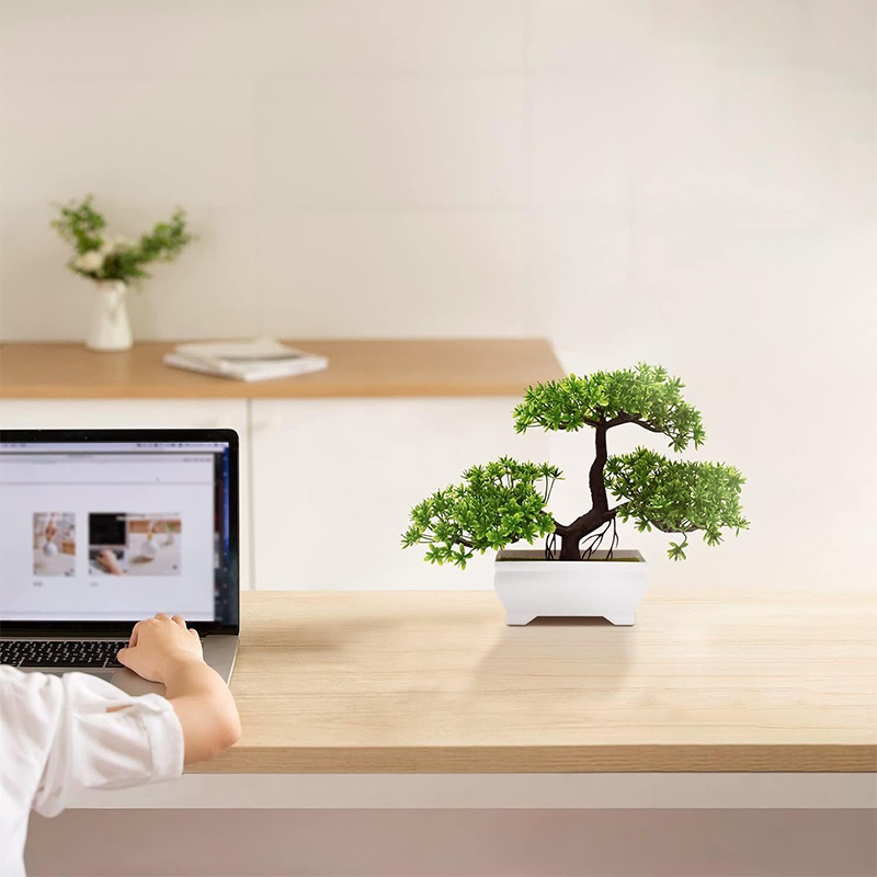 บอนไซประดิษฐ์พลาสติก Bionic โร - Desk Setup Green บทวิจารณ์และราคา